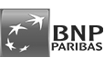 BNP-logo